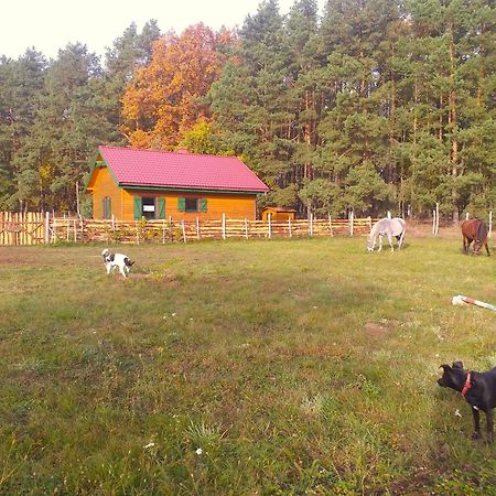 Agroturystyka Polana Harmonii Przytoczna Exterior photo