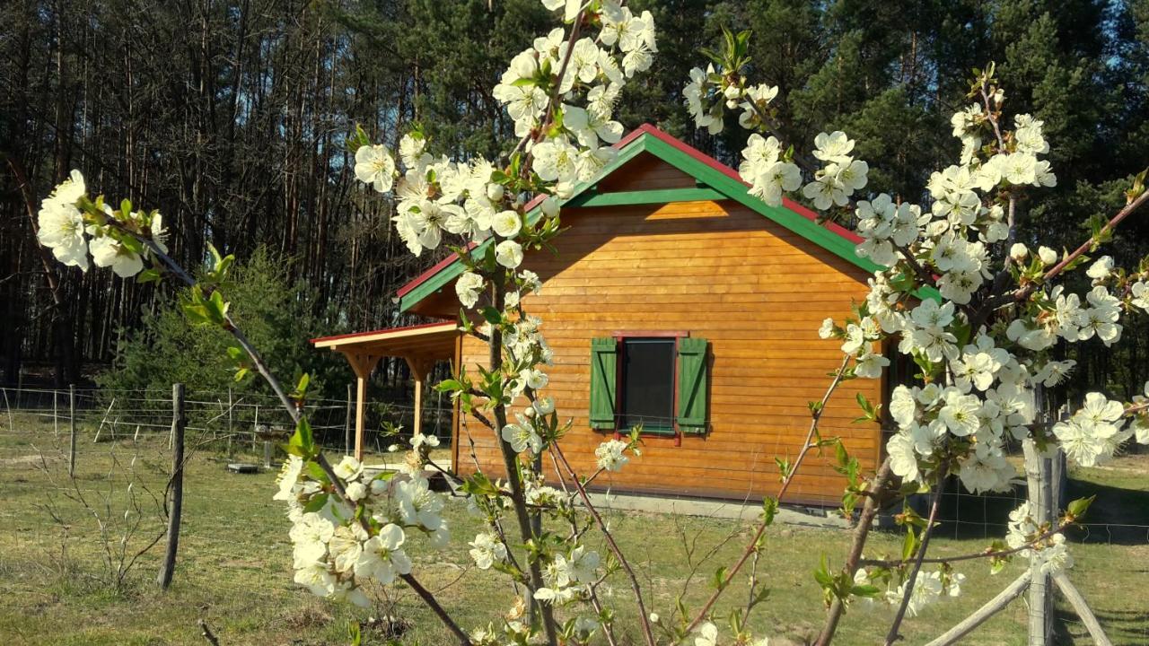 Agroturystyka Polana Harmonii Przytoczna Exterior photo